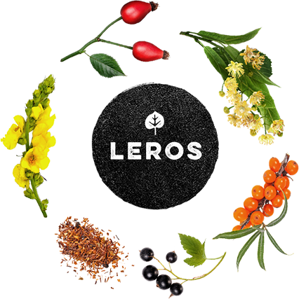 B2B LEROS